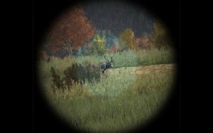 DayZ screenshot hunting