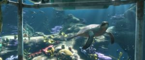 Playstation VR Worlds - Ocean Decent