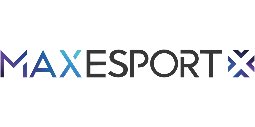 logo-Maxesport-Gris