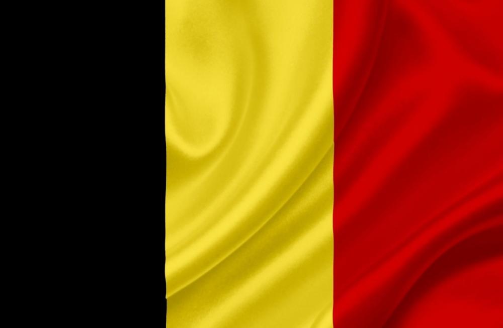 drapeau-belge-70-x-100-cm.thumb.jpg.e7d3