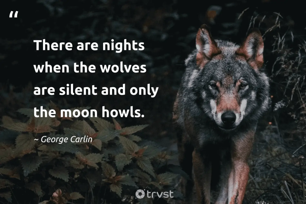wolf quote.png