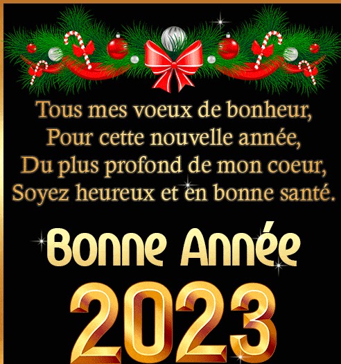 messages-bonne-annee-2023-gif ++++.jpg