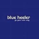 blue-heeler.shoes