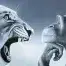 Grr_Sofaren