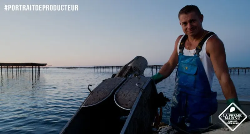 jeux vidéo et médiatisation - huitres