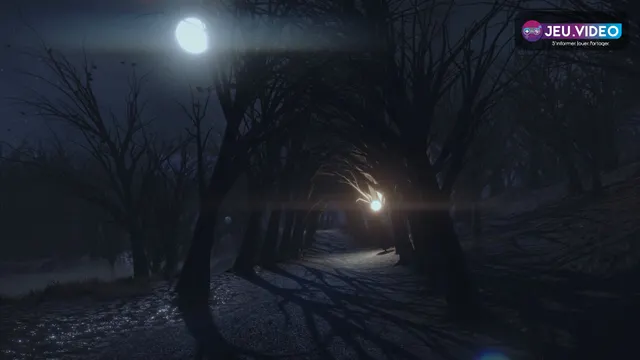 The Night Walk, visuel officiel de la promenade nocturne contemplative