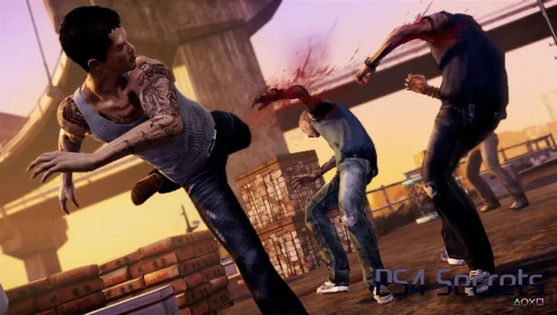Sleeping Dogs : Definitive Edition