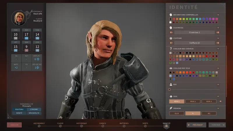 personnalisation haut elfe roublard identité