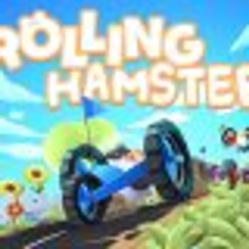 Rollingg Hamster