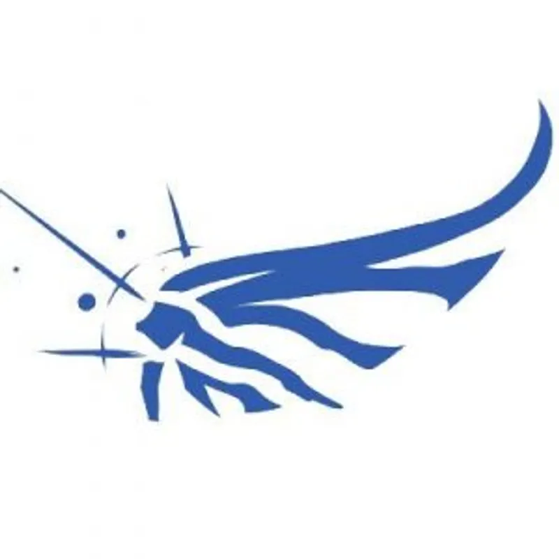 Angel corps logo