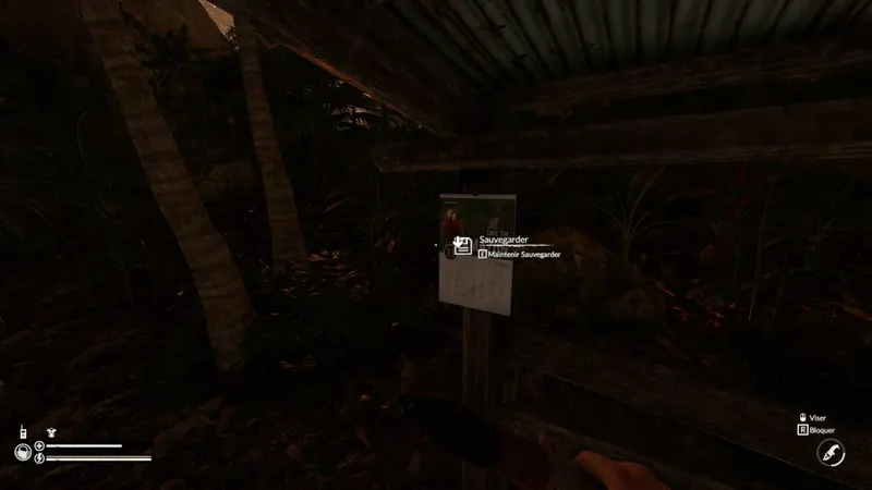 Conseils de survie - La sauvegarde