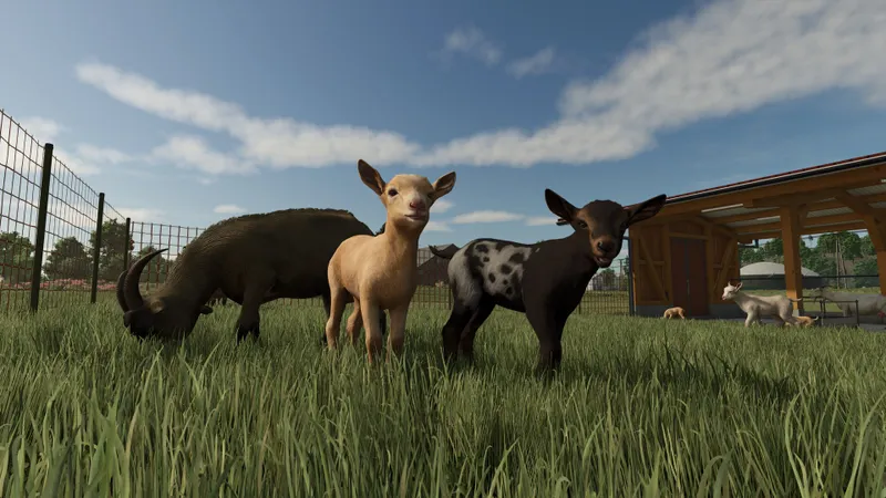 Beans & Alpacas: Farming Simulator 25 screenshot from the Steam gallery