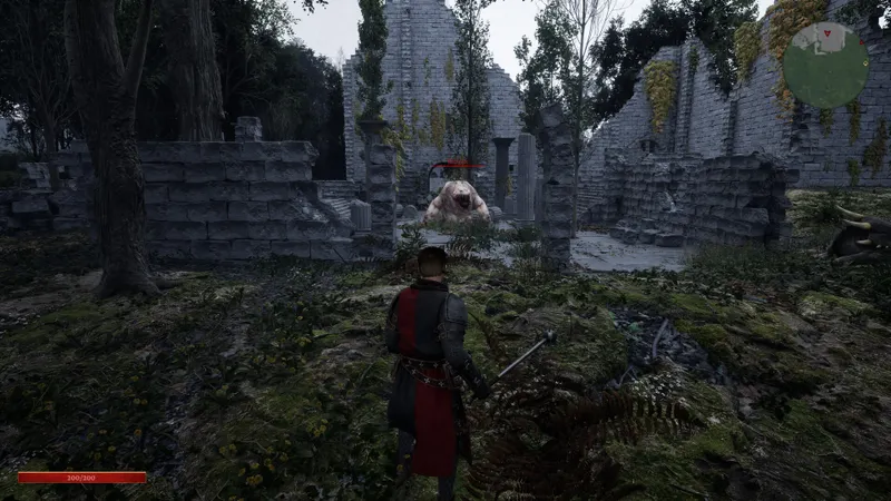 Ashes of Kardoria : capture officielle sur PC