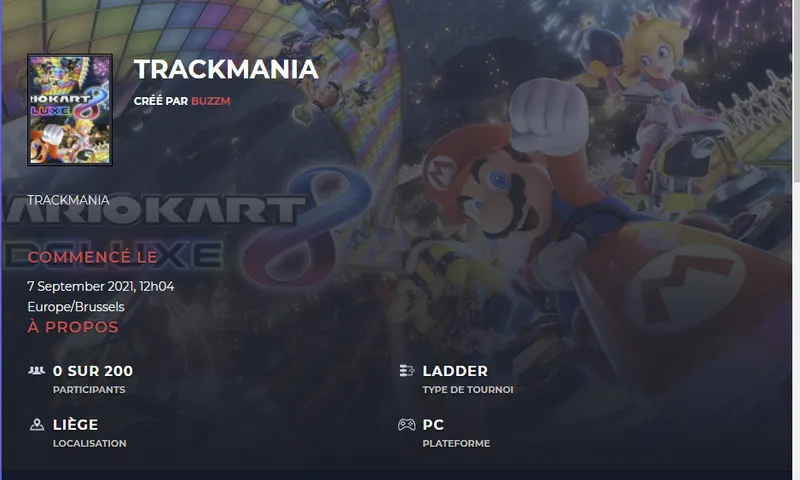 Gamer’s Guild - Mario Kart 8 sur PC