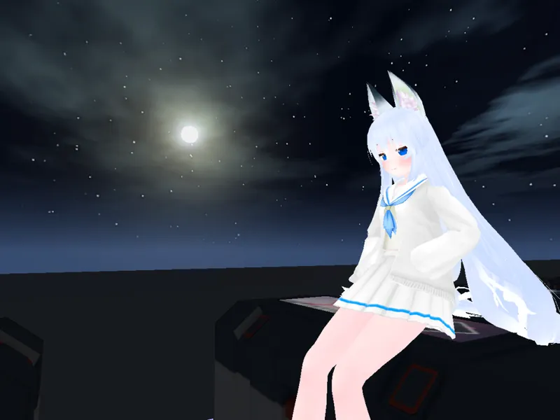 Avatar se pose à la plage de nuit