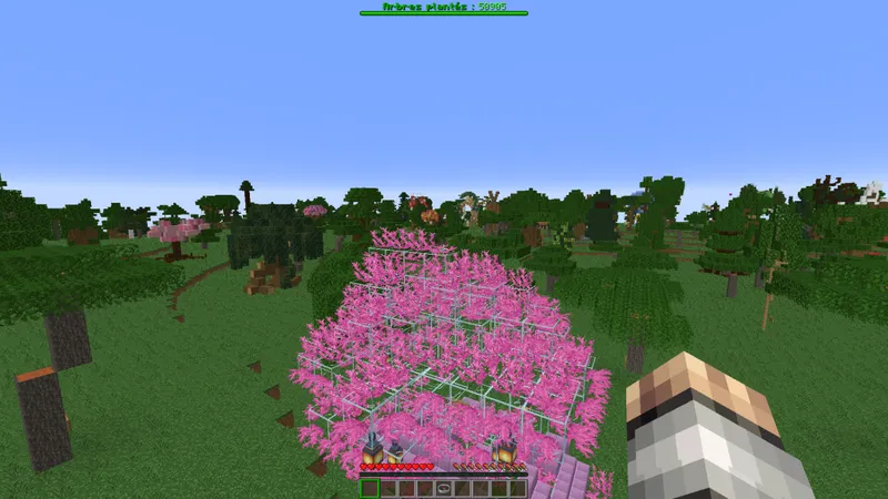 Minecraft - PLANTFORLIFE - aperçu serveur