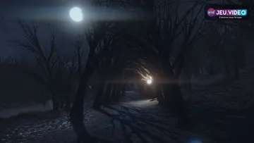 The Night Walk, visuel officiel de la promenade nocturne contemplative