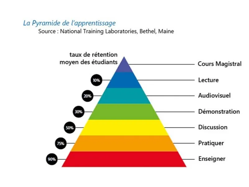 Dossier sur l'utilisation du jeu vidéo dans la formation adulte