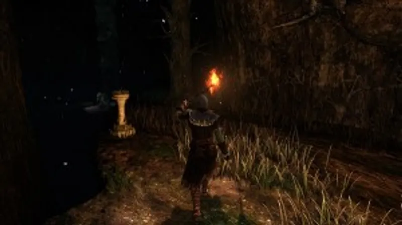 Dark Souls II PC Screenshot