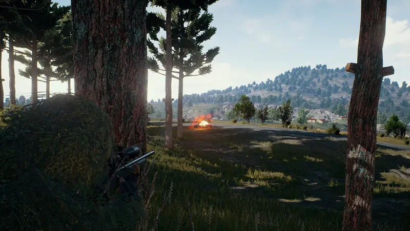 Playerunknows Battlegrounds wait tir