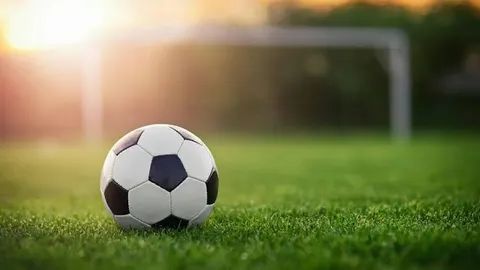 The Internet and Football: How Competitions Have Become Closer to Fans