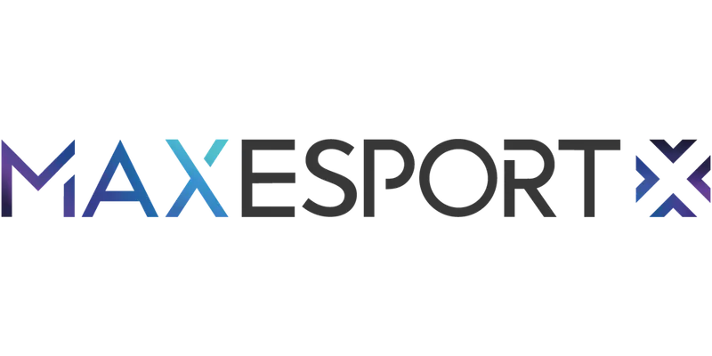 logo-Maxesport-Gris