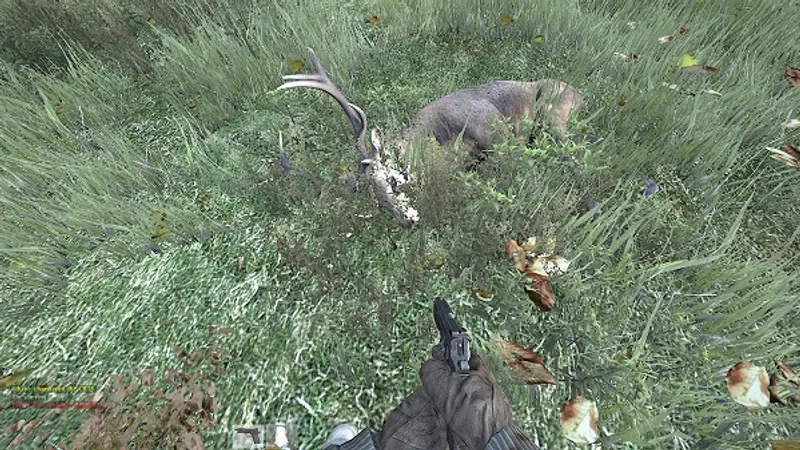 DayZ meilleures performances et DirectX11
