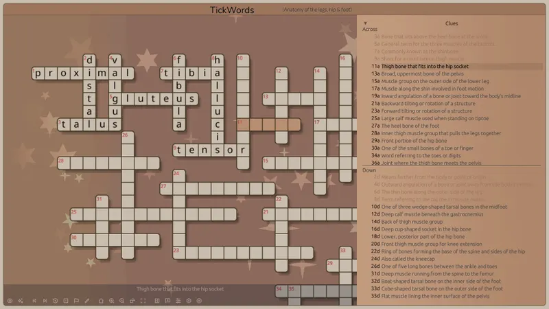 TickWords: interfaz del juego y opciones disponibles