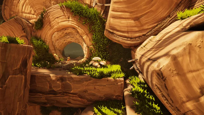 Grounded 2: a look at the Woodpile area announced for Rot and Ruin