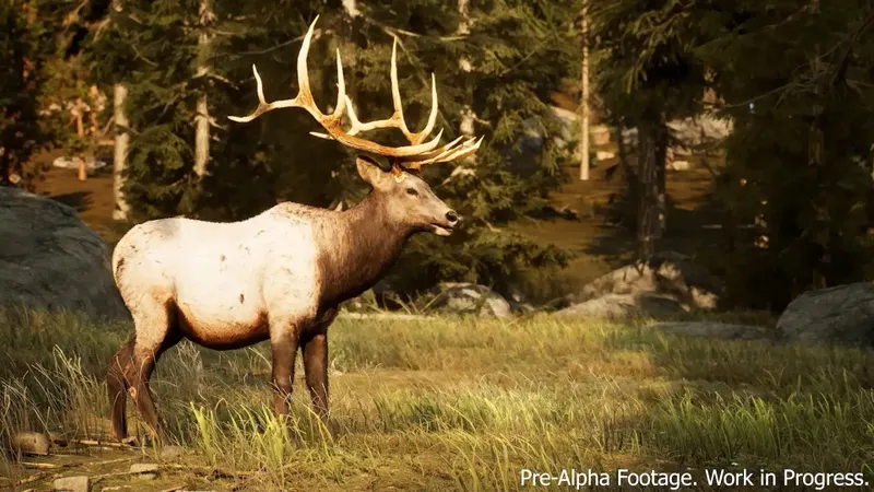 Élan du Colorado dans Hunting Simulator 3 utilisé comme exemple de grande cible à observer avant le tir