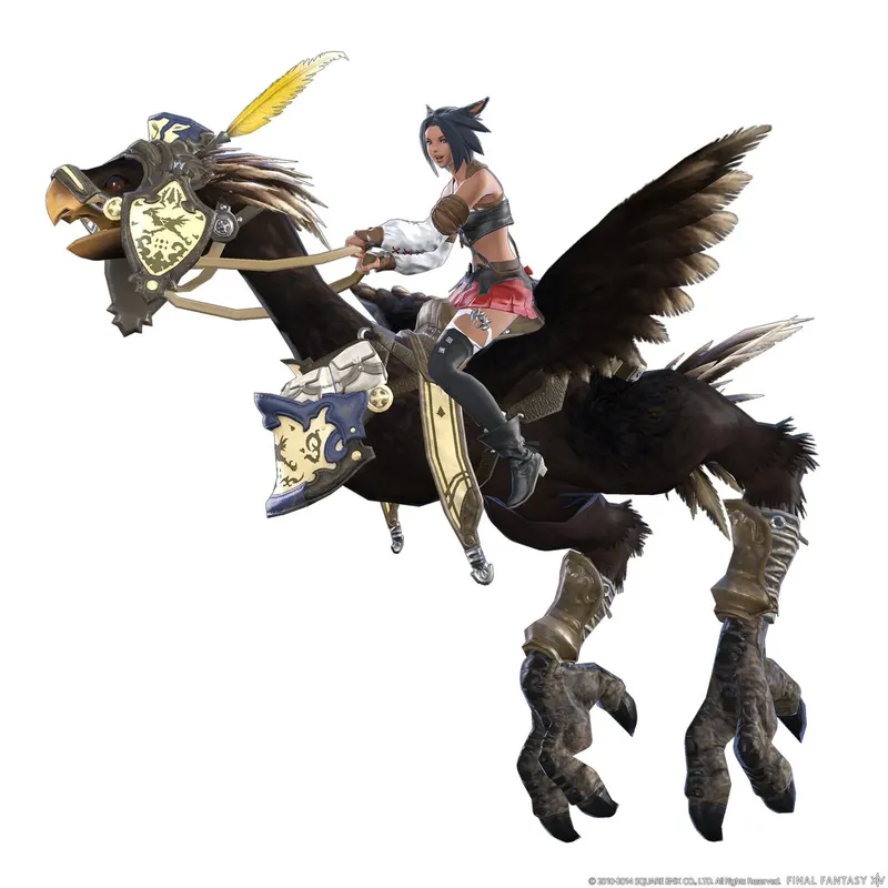 chocobo noir volant