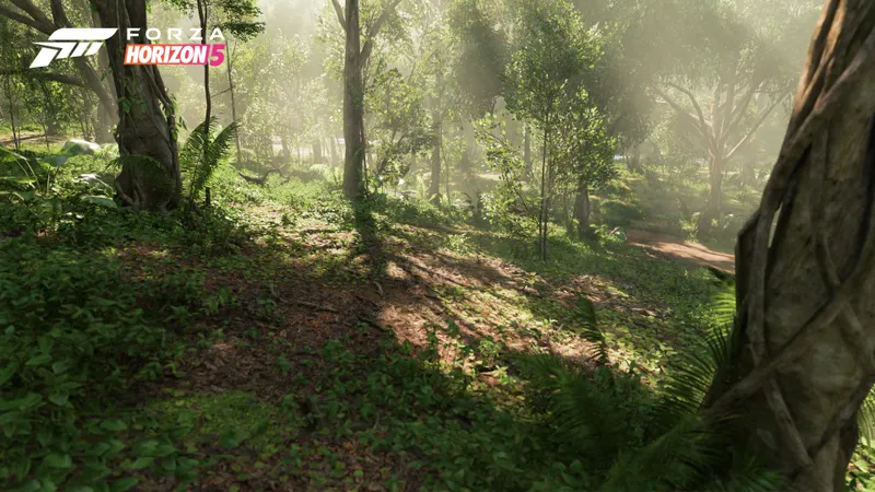 Jungle de Forza Horizon 5 montrant un chemin étroit et bosselé où les voitures dirt doivent garder du grip et absorber les virages rapides