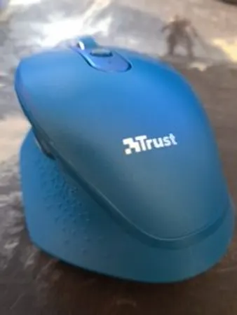 Une bonne souris, mais pas pour le gaming