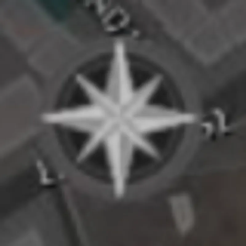 The Sinking City - rose des vents