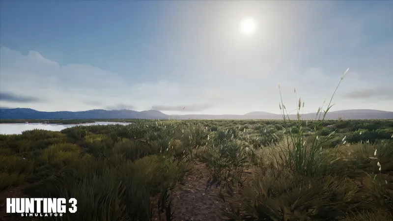 Zone ouverte de Hunting Simulator 3 avec herbes basses et horizon dégagé pour apprendre à repérer le gibier