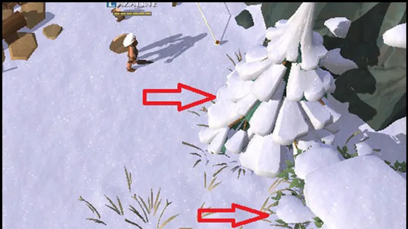 Guide : les premiers pas