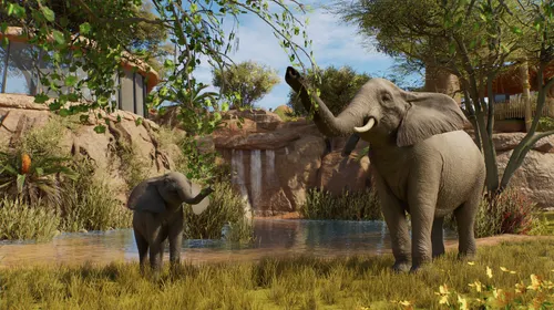 Planet Zoo 2, capture officielle accompagnant l’annonce de maintenance des services en ligne