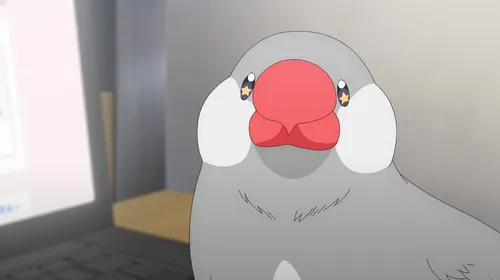 Sasaki and Peeps saison 2, visuel accompagnant l’annonce du doublage anglais