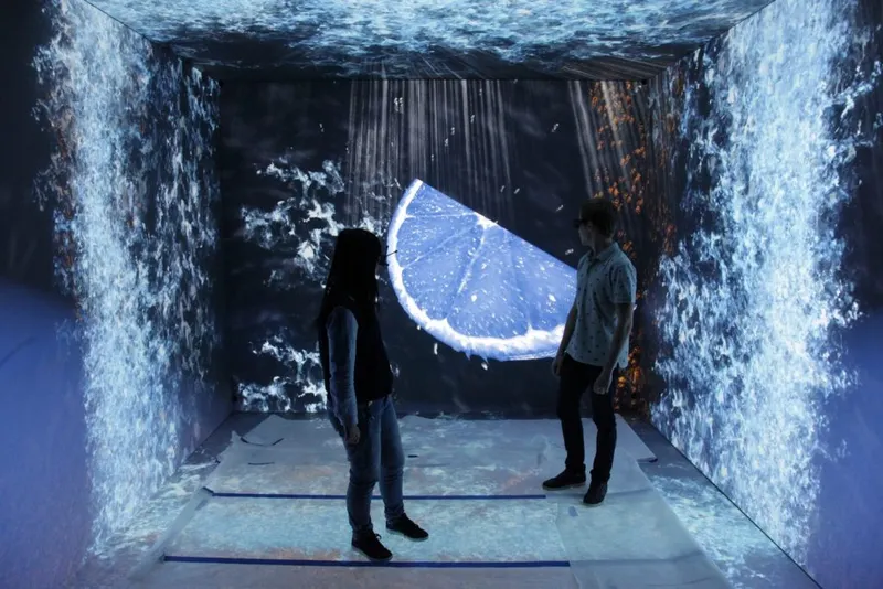 Cube immersion D