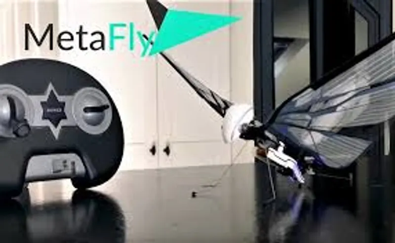 MetaFly MetaFly
