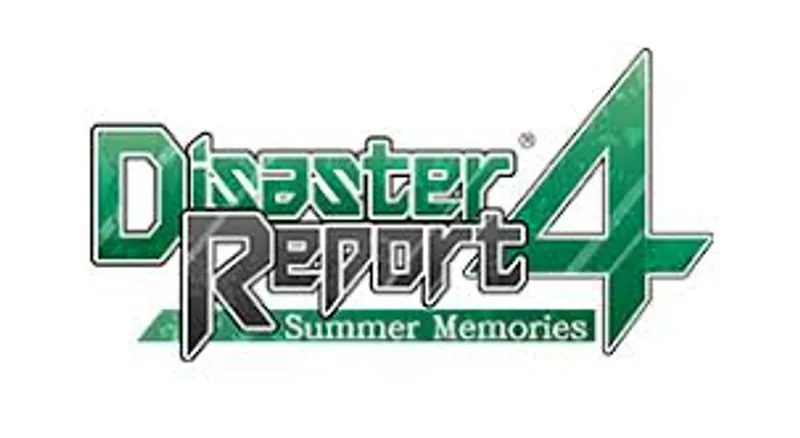 Disaster Report 4 - template