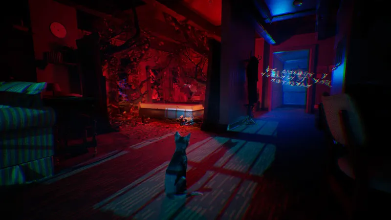 1666 Amsterdam trailer montrant le chat Aaron dans un couloir rouge et bleu