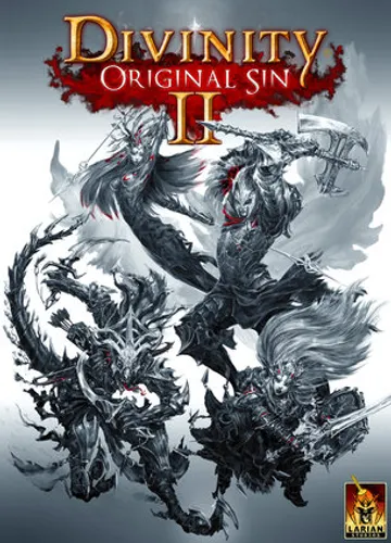 Divinity: Original Sin II — jaquette du jeu