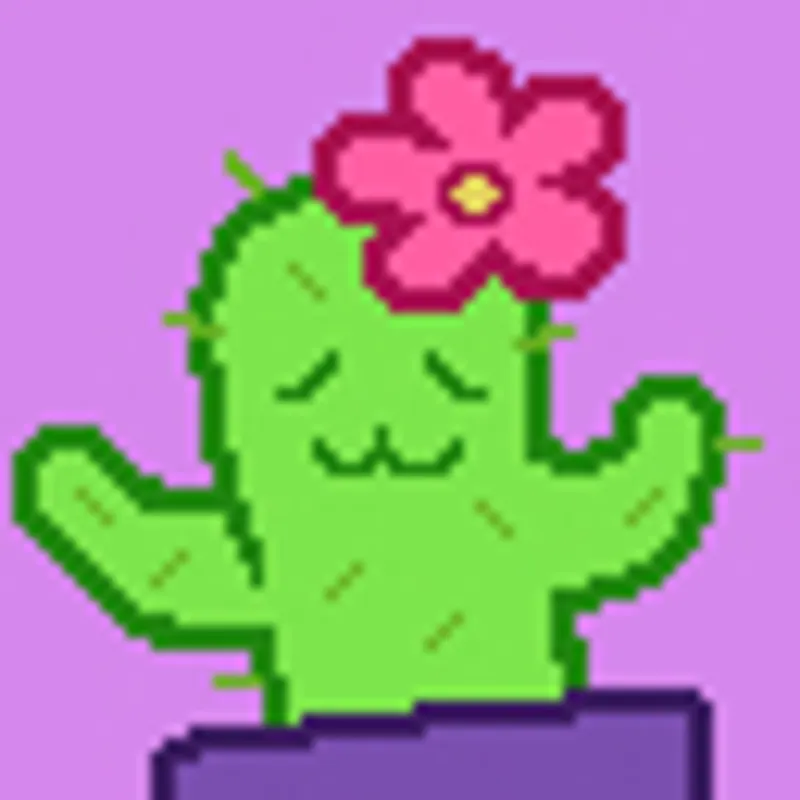 Succès Unpacking - Main Verte