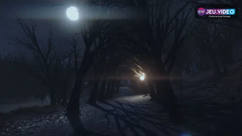 The Night Walk, visuel officiel de la promenade nocturne contemplative