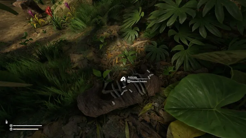 Green Hell - Comment se soigner - asticots