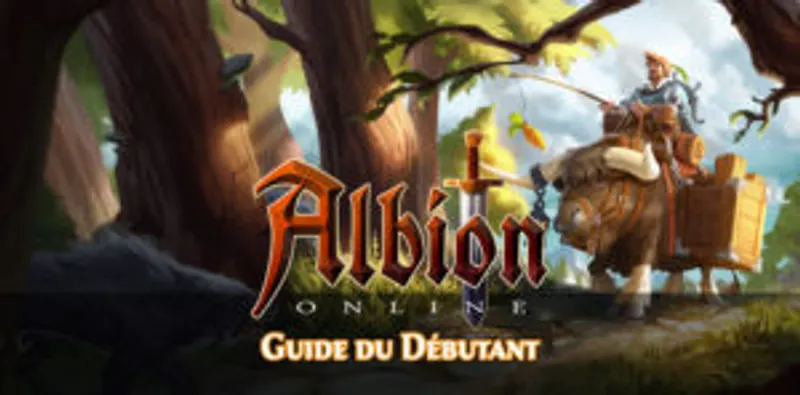 Guide du débutant - guides