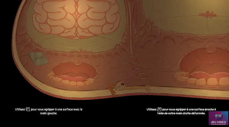 Test Struggling - charisme