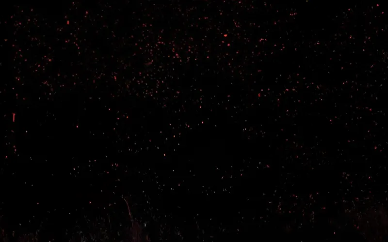 Image officielle de The Last Ronin liée au récit de vengeance