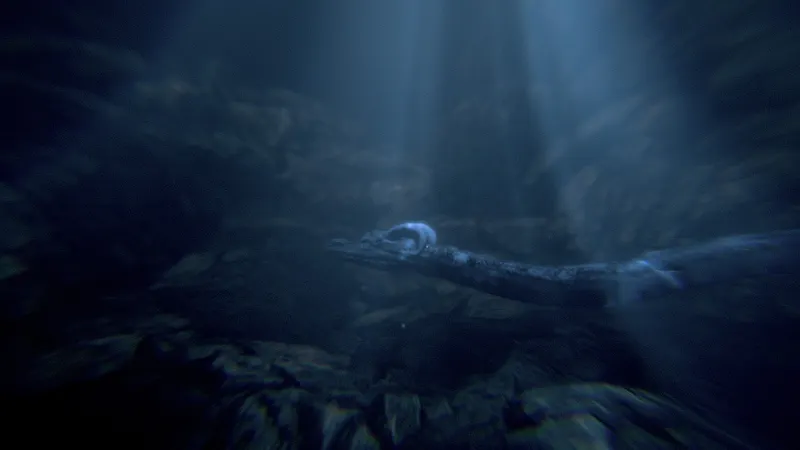 The Signifier - mythologie